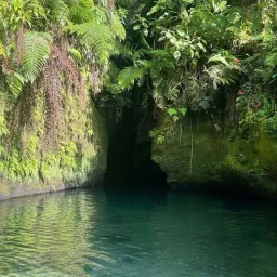 Titou Gorge – A cinematic swim through Dominica’s volcanic rainforest