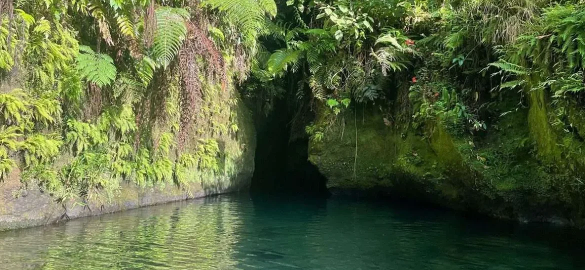 Titou Gorge – A cinematic swim through Dominica’s volcanic rainforest