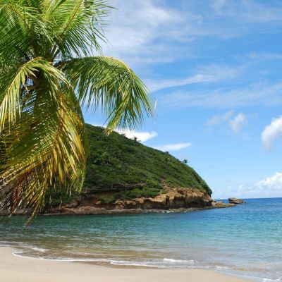 Batibou Beach in Dominica with golden sand and palm trees